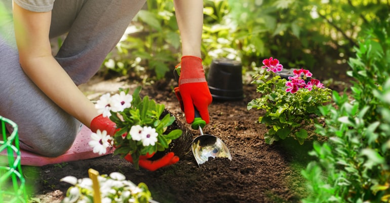 lawn-blog-2