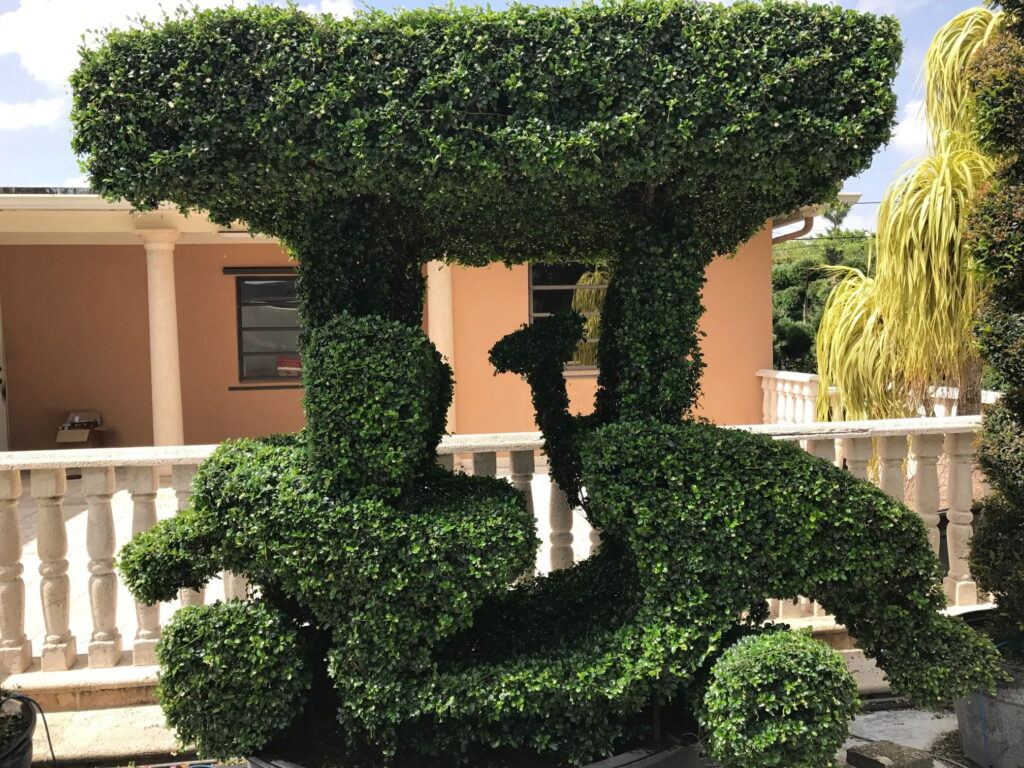 Residential-landscaping-near-me-in-Broward-County-FL-18