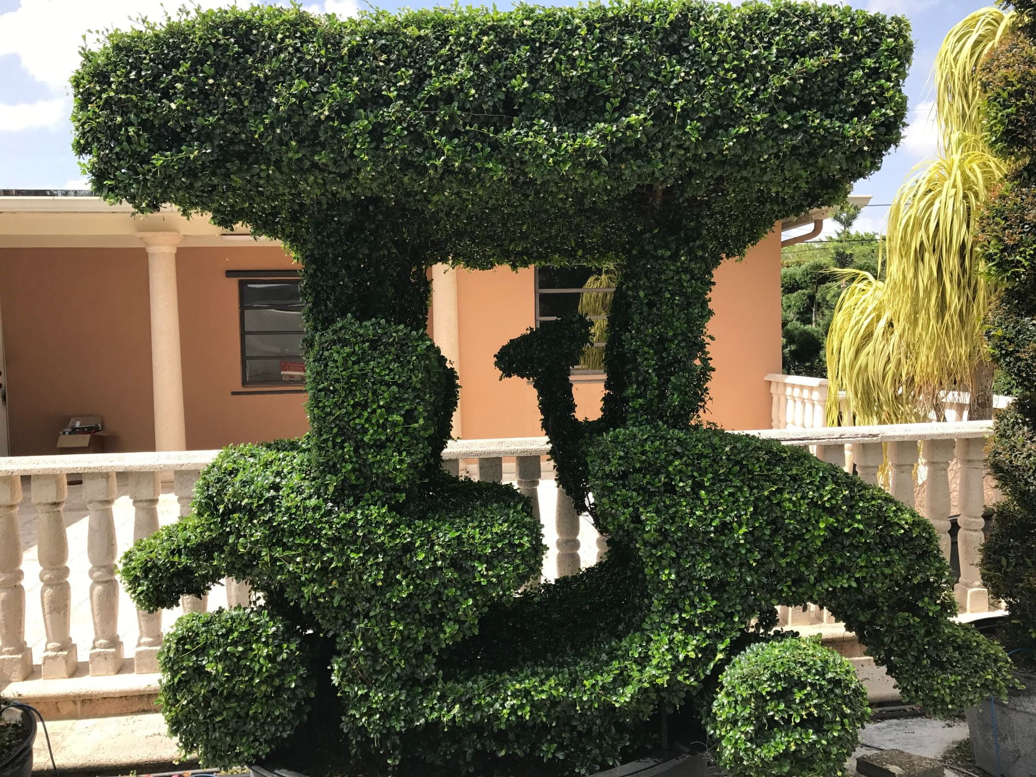 Residential-landscaping-near-me-in-Broward-County-FL-18
