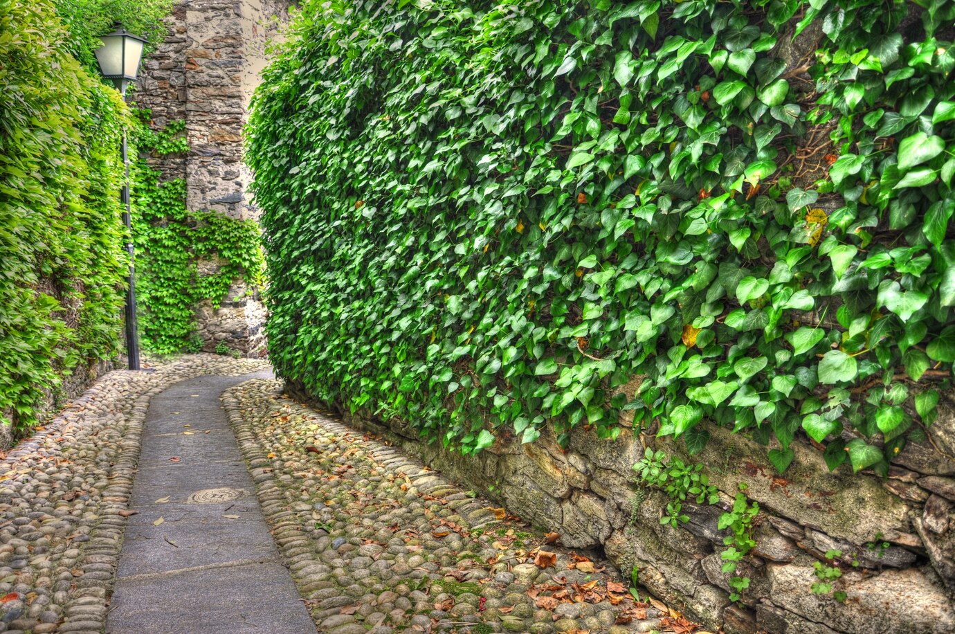 beautiful-gravel-road-surrounded-by-greenery