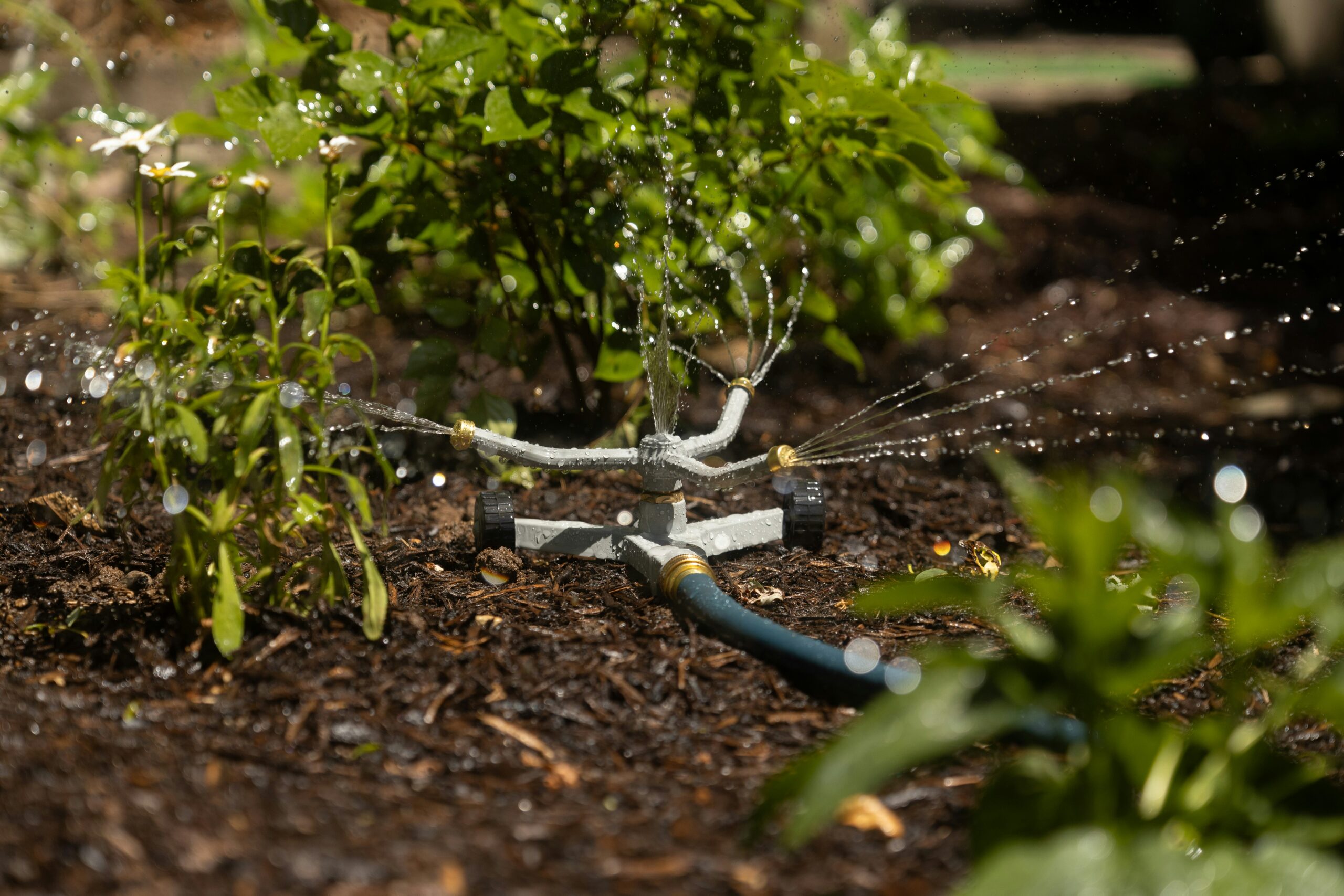 irrigation-system-new