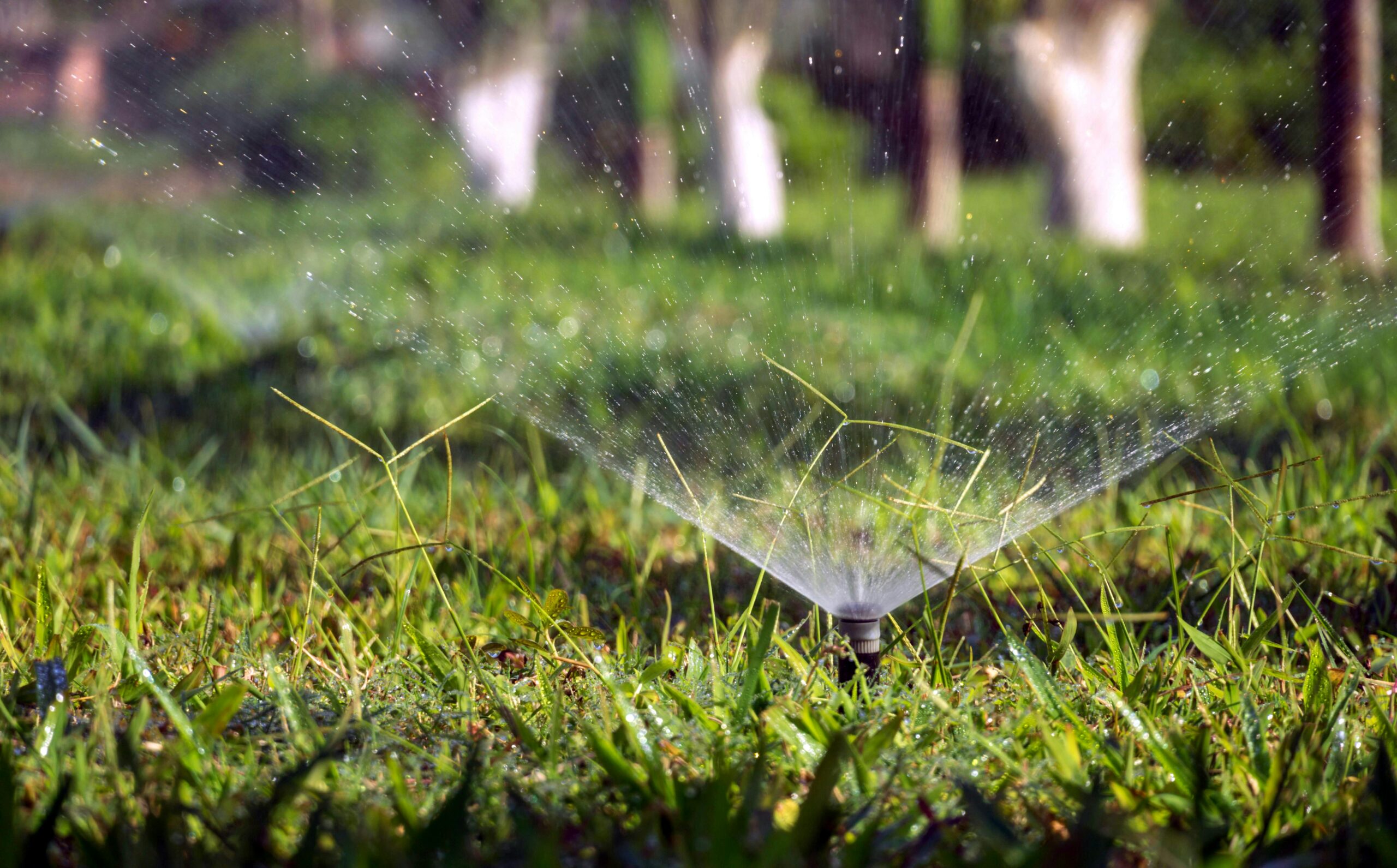 sprinkler-garden-service